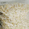 Brown Rice (Frozen) Savor 4 Lb Bag