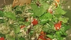 Rucola Salade