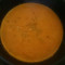 Zupa Krem Z Pomidorów