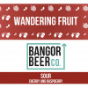 29. Wandering Fruit Raspberry Cherry