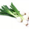 Green Onion 1 Bunch