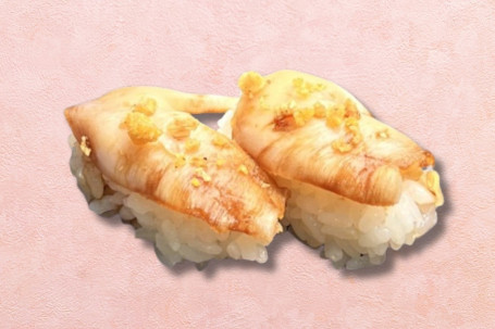 Bái Niǎo Bèi (2Jiàn Macoma Shell