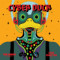 Cyber Duck