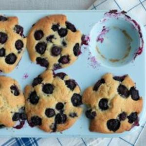 Bountiful Blueberry Muffin