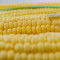 Sweet Corn On The Cob