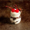 Black Forest In A Jar