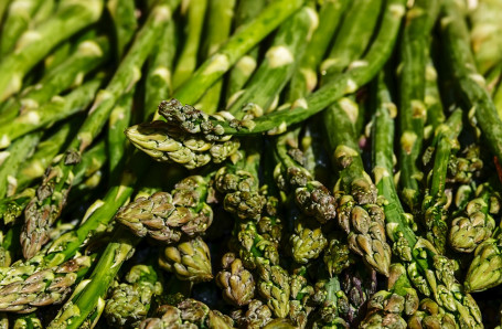 Steamed Asparagus