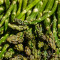 Steamed Asparagus