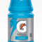 Gatorade Thirst Quencher Cool Blue 32 Oz
