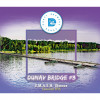 Dunav Bridge #3