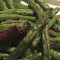 V1. Stir-Fried Green Beans Gàn Biān Sì Jì Dòu
