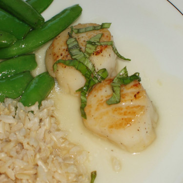 Jumbo Sea Scallops