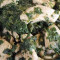 Chicken Saag