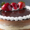 10 Round Chocolate Vanilla Cake