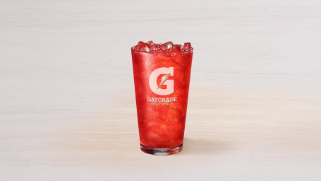 G2 Gatorade Fruitpunch