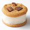 Ice Cream Sandwich Classic With Reese