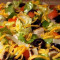 Kip Fajita Salade (Diner Made Easyer Voer 4-7)