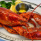 1.5Lb Live Maine Lobster