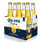 Corona (6-Pack)