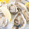 Oysters (6 Pcs)