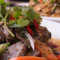 Sa-43 Yum Neua (Thai Style Beef Salad
