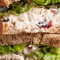 Catalina Chicken Salad Sandwich