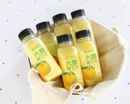 Liù Kē Liǔ Dīng Zhī Dān Guàn Six Willow Juice Can
