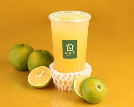 Tái Wān Xiān Zhà Liǔ Dīng Lǜ Dà Bēi Freshly Orange Green Tea Large