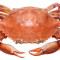 M1. Blue Crab