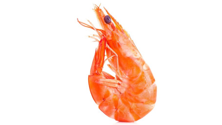 M6. Shrimp (Head On)