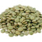 Cooked Lentil