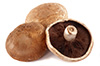 Portabella paddenstoelen