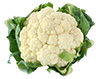 Flower cauliflower