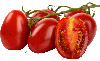 Tomaten uit Rome