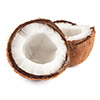 Coconut meat