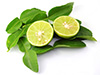 Leaves of caffir lime
