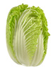 Napa cabbage leaves