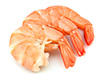 Rocky shrimp