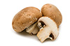 Brown paddenstoelen