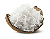 Unsweetened dried coconut