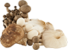 Mengsels van paddenstoelen