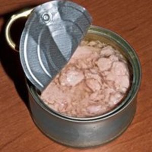 Cans tuna in water
