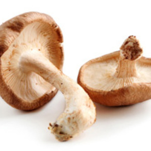 Ciuperci shitake