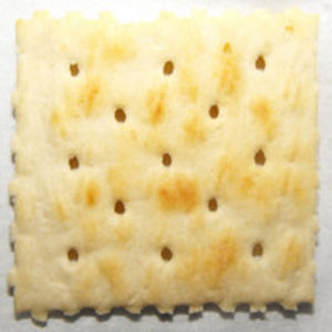 Saltine cracker
