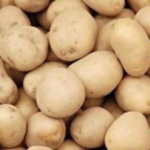 Yellow potatoes