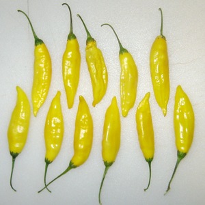 Gele paprika's