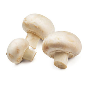 Funghi bianchi