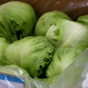 Iceburg lettuce