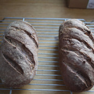 Pumpernickel Brood