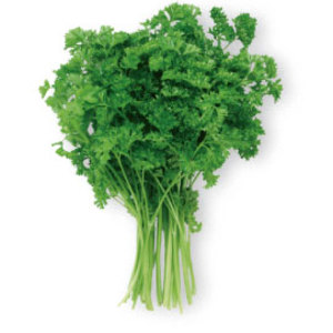 Chervil